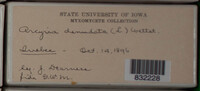 Image Associated With the Occurence